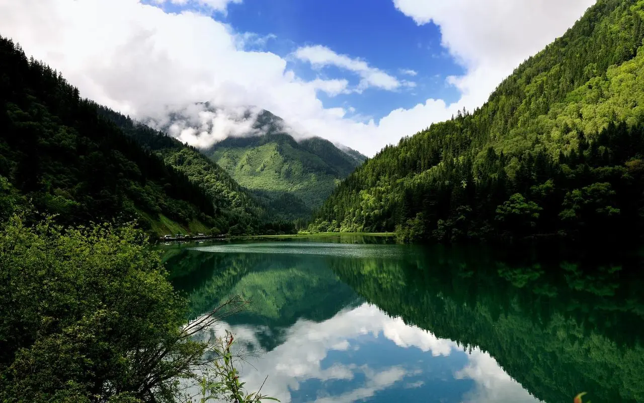 东风多利卡怎么加水
